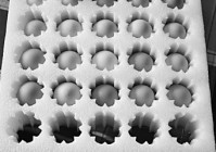 如何看待人工智能的发展现状和未来可能