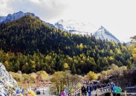 报团去成都旅游大概预算要多少钱成都当地旅游纯玩小团价