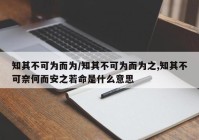 知其不可为而为/知其不可为而为之,知其不可奈何而安之若命是什么意思