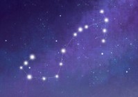 婚后哪个星座男最好