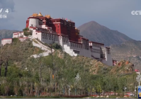 跨越60年雪域新画卷｜：日光之城的绿色新生