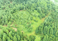 “野马”报名正式启动!(附报名入口)