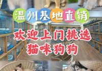 温州哪里买宠物靠谱安全?这儿有实体店可选放心大胆挑吧