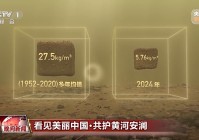 看见美丽中国丨把断流之痛化作生态之美 母亲河生态蜕变向“绿”而行