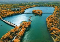 丝路三岔口上 灵动的巴楚