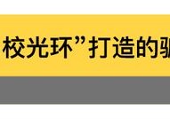 环球小姐学历造假录港大入狱240天背后的学历造假灰产链