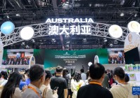 新华全媒+|2025年中国国际服务贸易交易会在北京开幕