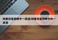如果你是我眼中一滴泪/如果你是我眼中的一滴泪