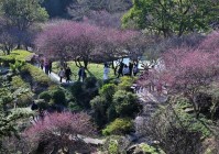 时政微观察丨关乎人民幸福 关乎民族未来