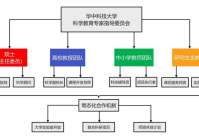 各学段科学教育如何实现衔接协同?发挥机制、课程、资源优势是关键
