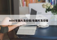 mini车图片及价格/车图片及价格