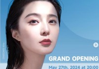 出海最成功的女人——范冰冰