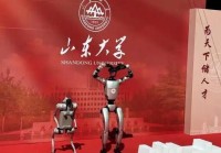 学校迎新炫出高科技 如何为青少年种下一颗科学的种子?