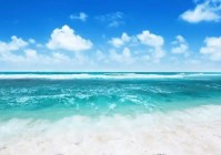 周旭白叶知韵++周旭白叶知韵++黎月看向我眼睛又亮起来