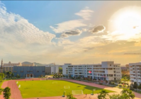 山东2025年高考共录取844807人本科343807人