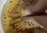 50 克花椒泡脚险丧命:网红养生乱象下多少人正拿命试偏方?