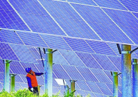 烟台:绿色建造产业链“绿意”正浓