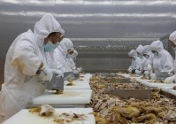 从地方小吃到走上全国餐桌——重庆丰都麻辣鸡的“飘香”密码