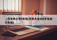 【作文网小学6年级,作文大全600字左右六年级】