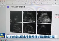 长江流域珍稀水生物种保护取得新进展