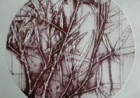 搞什么体育项目赚钱多呢