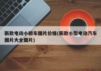 新款电动小轿车图片价格(新款小型电动汽车图片大全图片)