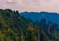 暑假去张家界5天4晚怎么避坑?本地向导详细攻略+凤凰古城+芙蓉镇