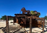 中国最孤独的大使:一个人带着一条狗坚守三年改善生活靠挖野菜