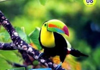 《天天爱科学》征稿分析——以期刊《天天爱科学》为例详解投稿技巧