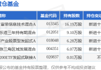 8月22日万兴科技涨507%富荣信息技术混合A基金重仓该股