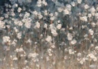 手机摄影微距技巧捕捉生活中的美好瞬间