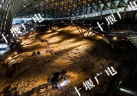 全球刷屏!十堰青龙山恐龙蛋“年龄”揭晓50余家外媒聚焦