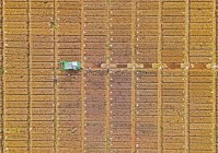 山东今年夏粮单产水平、总产增量均为全国第一