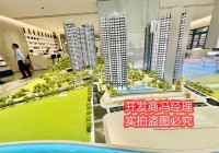 赤湾山海丹华府负面新闻有哪些开发商是谁被谁买了产权归属