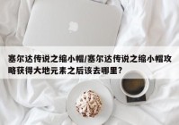塞尔达传说之缩小帽/塞尔达传说之缩小帽攻略获得大地元素之后该去哪里?