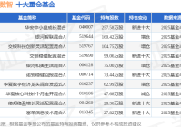8月8日鼎捷数智跌1599%华安中小盘成长混合基金重仓该股