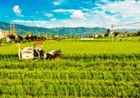 中国人工智能学会副理事长王国胤解读人工智能趋势