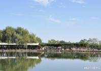 科技发展对获取知识的影响