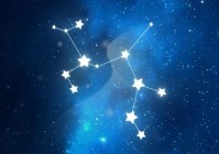 12星座最怕的是什么