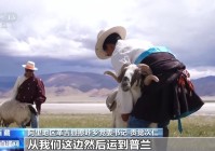 辉煌60载 魅力新西藏丨盐田致富路 古道换新颜