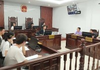 法庭暑期“开课”前江街道小候鸟变身“小法官”学维权