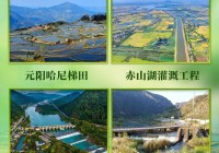 早安你好|全球每10个孩子就有1个肥胖这种食品被联合国机构点名→