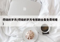 燃烧的岁月(燃烧的岁月电视剧全集免费观看)
