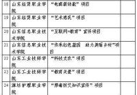 大专学什么项目赚钱