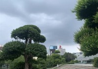 降温时间定了 降至30℃以下!湖北将迎暴雨、大暴雨