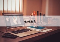 毛/毛东东