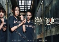 情感大结局《绝处逢她》江云观看