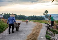 老话说“夏不坐木冬不坐石”啥意思?冬天的石头为何不能坐?