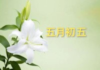 端午节“四忌”:1不晒2不扔3不借4不剪