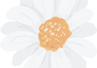 新高一启航——衡水十四中政治学习温馨提示